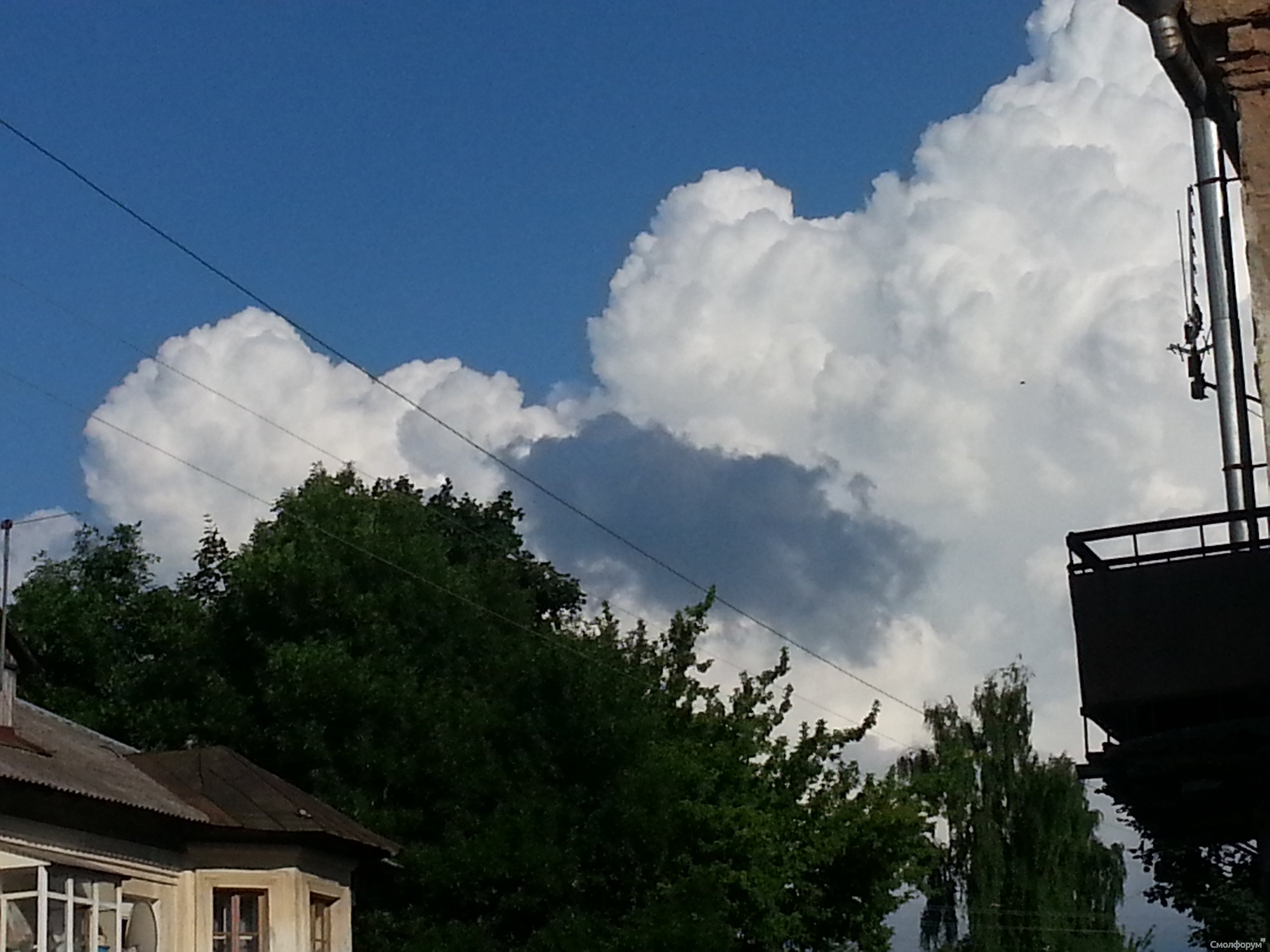 20130610_190210.jpg