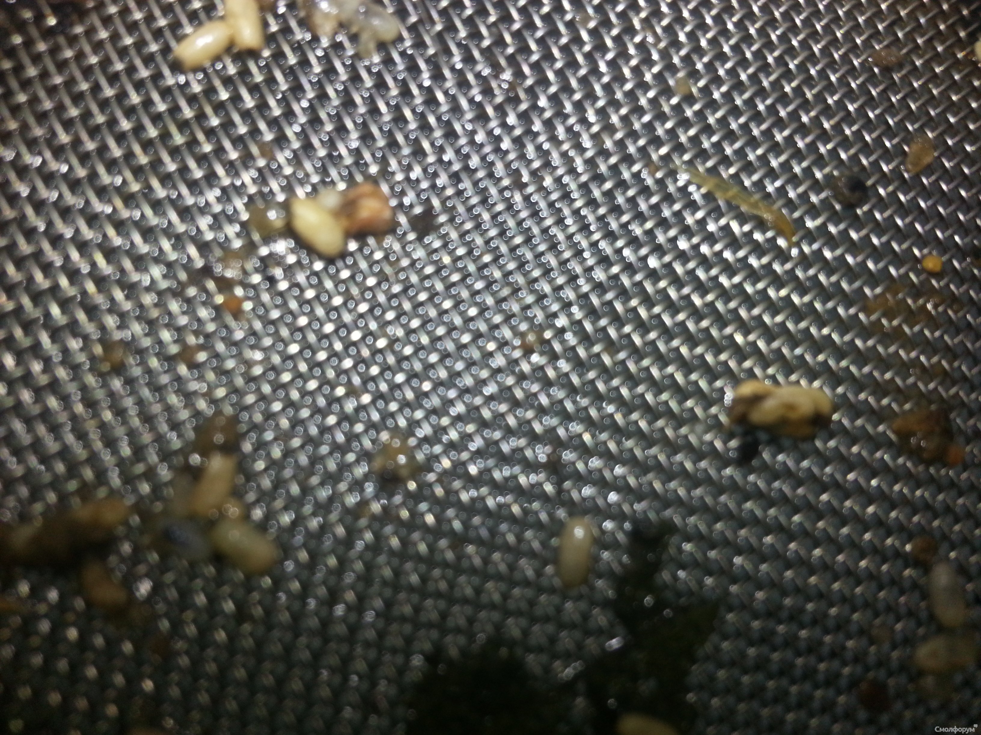 20130713_161150.jpg