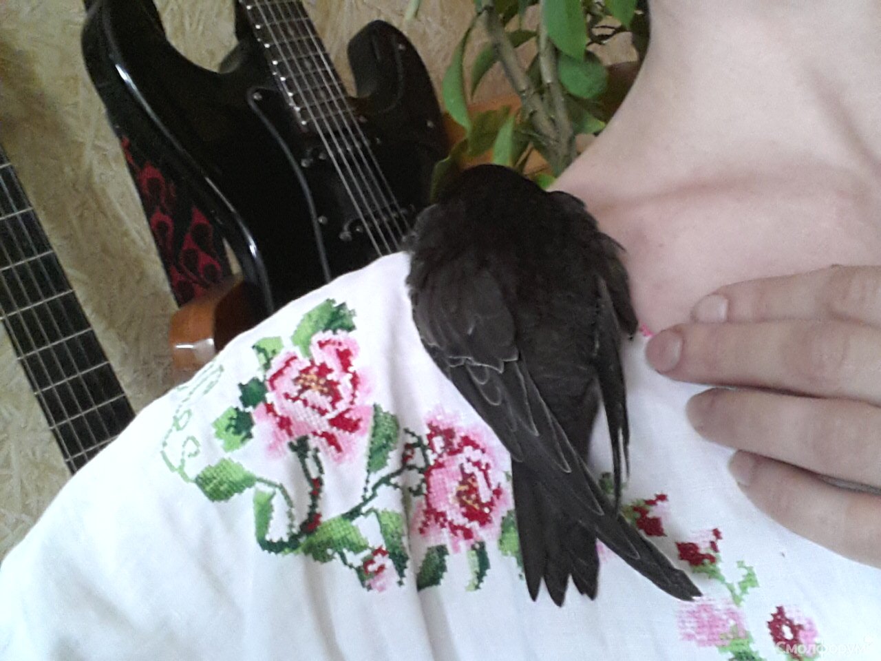 20130713_203334.jpg