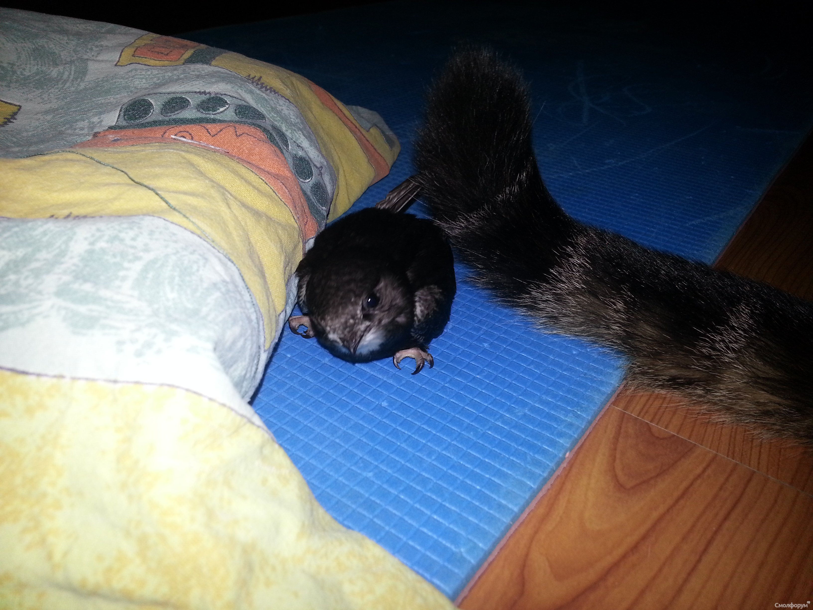 20130718_211138.jpg