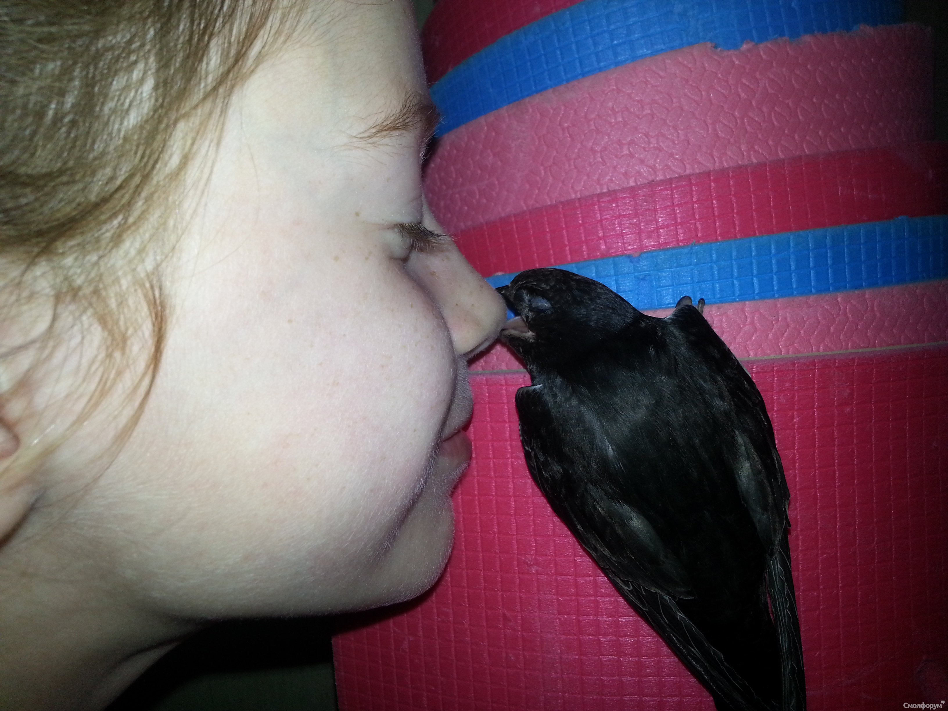 20130722_153623.jpg