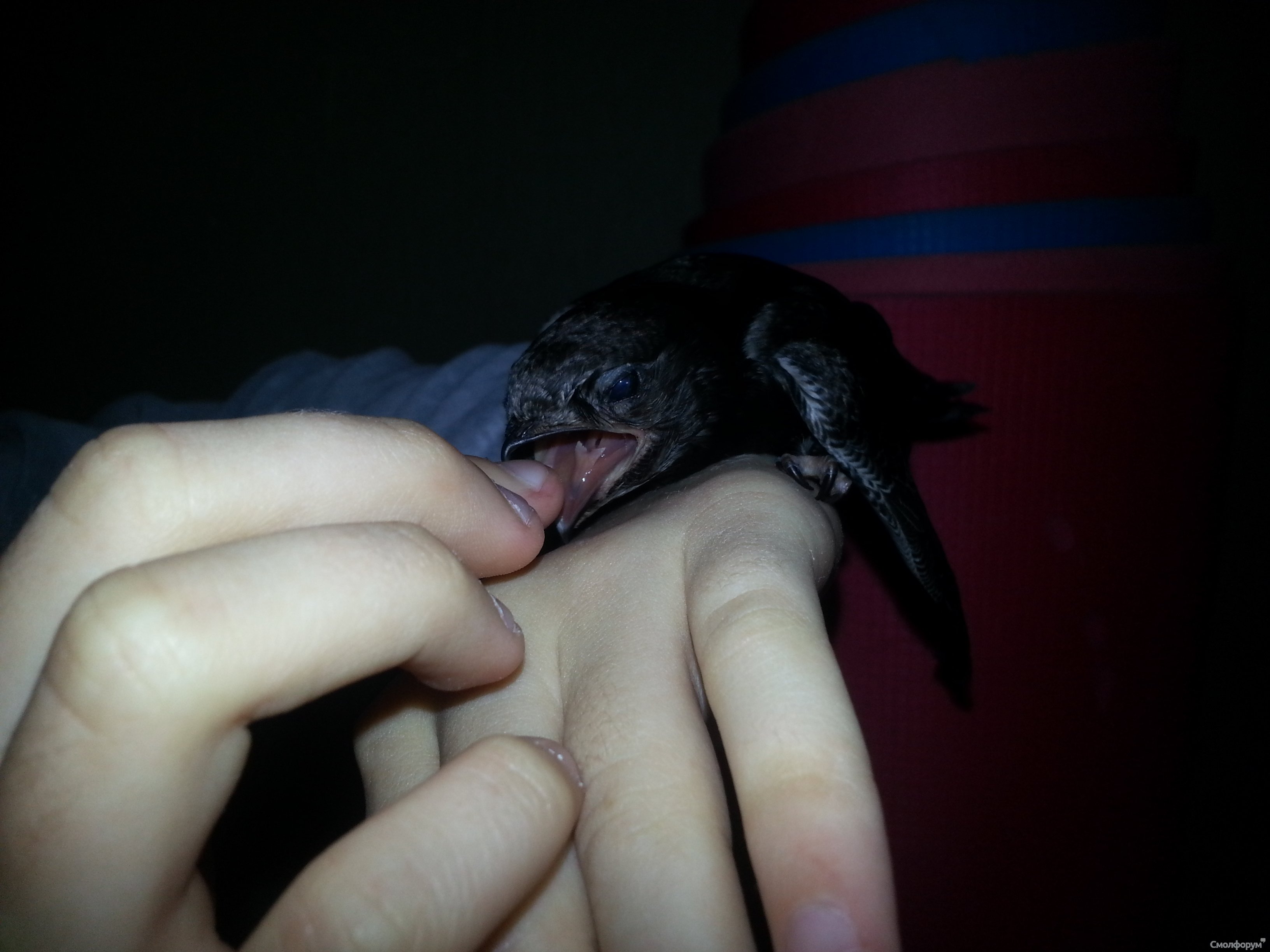 20130722_153758.jpg