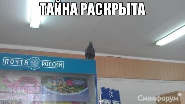 73YKu08MWNs.jpg
