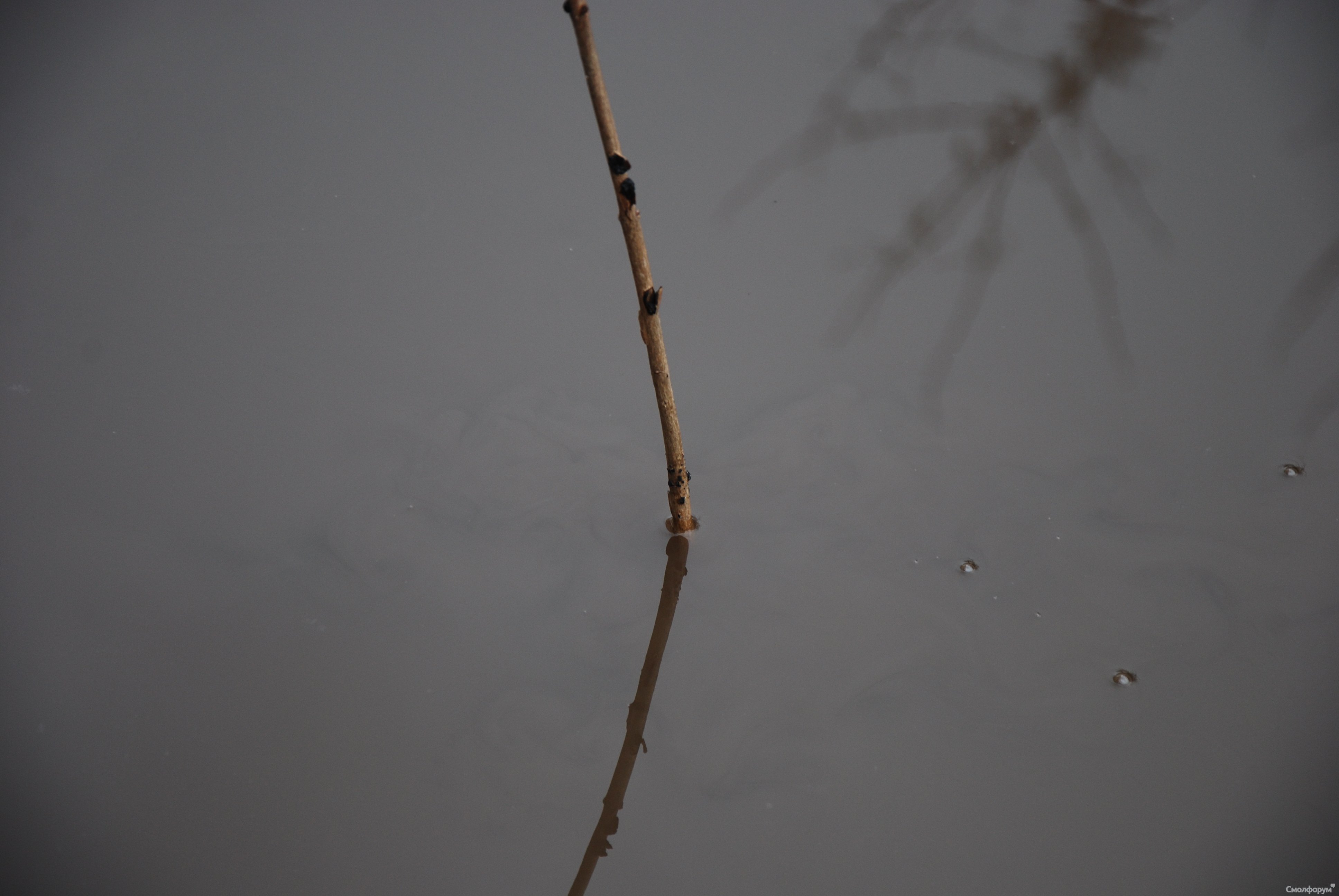 DSC_0053.JPG