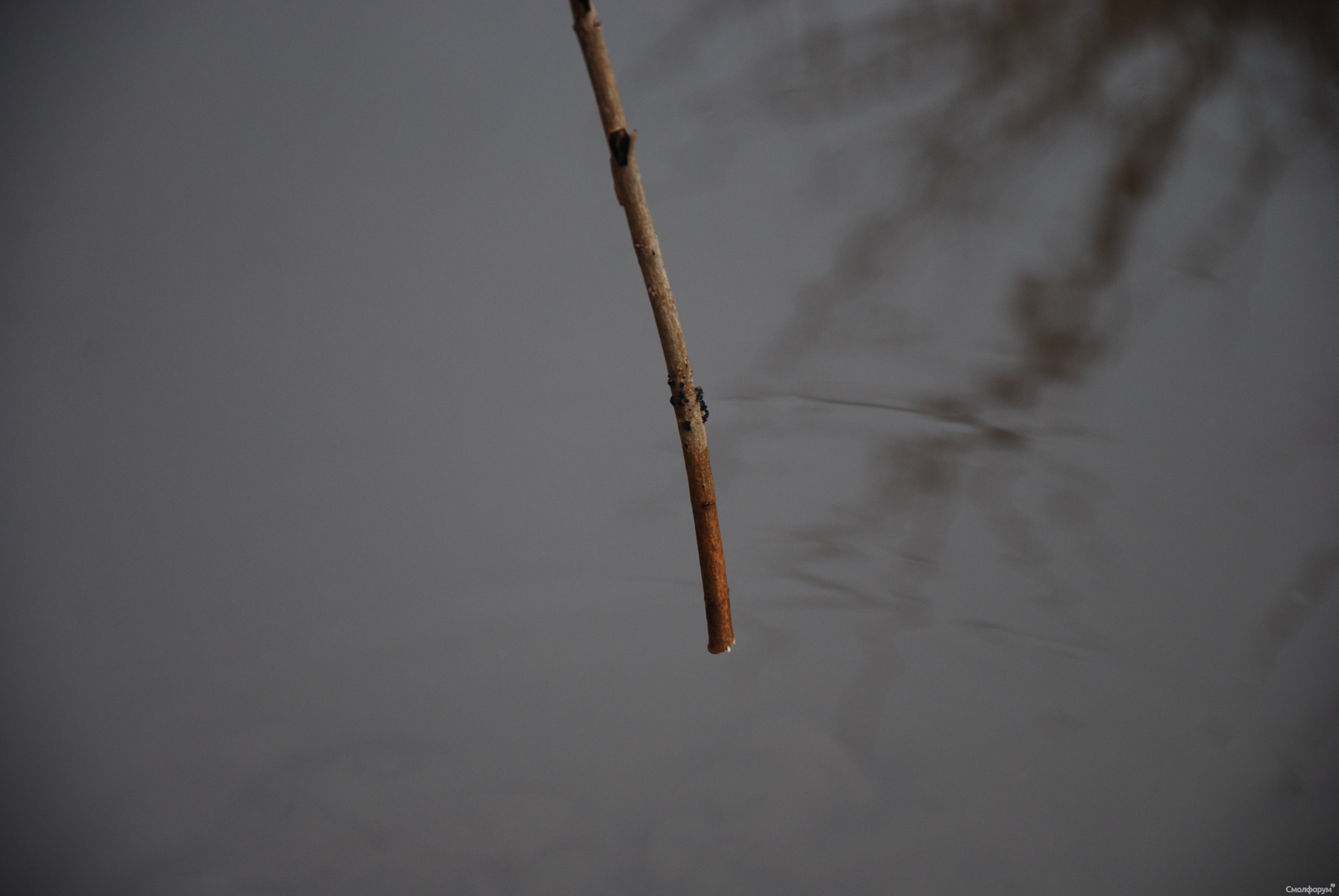 DSC_0054.JPG