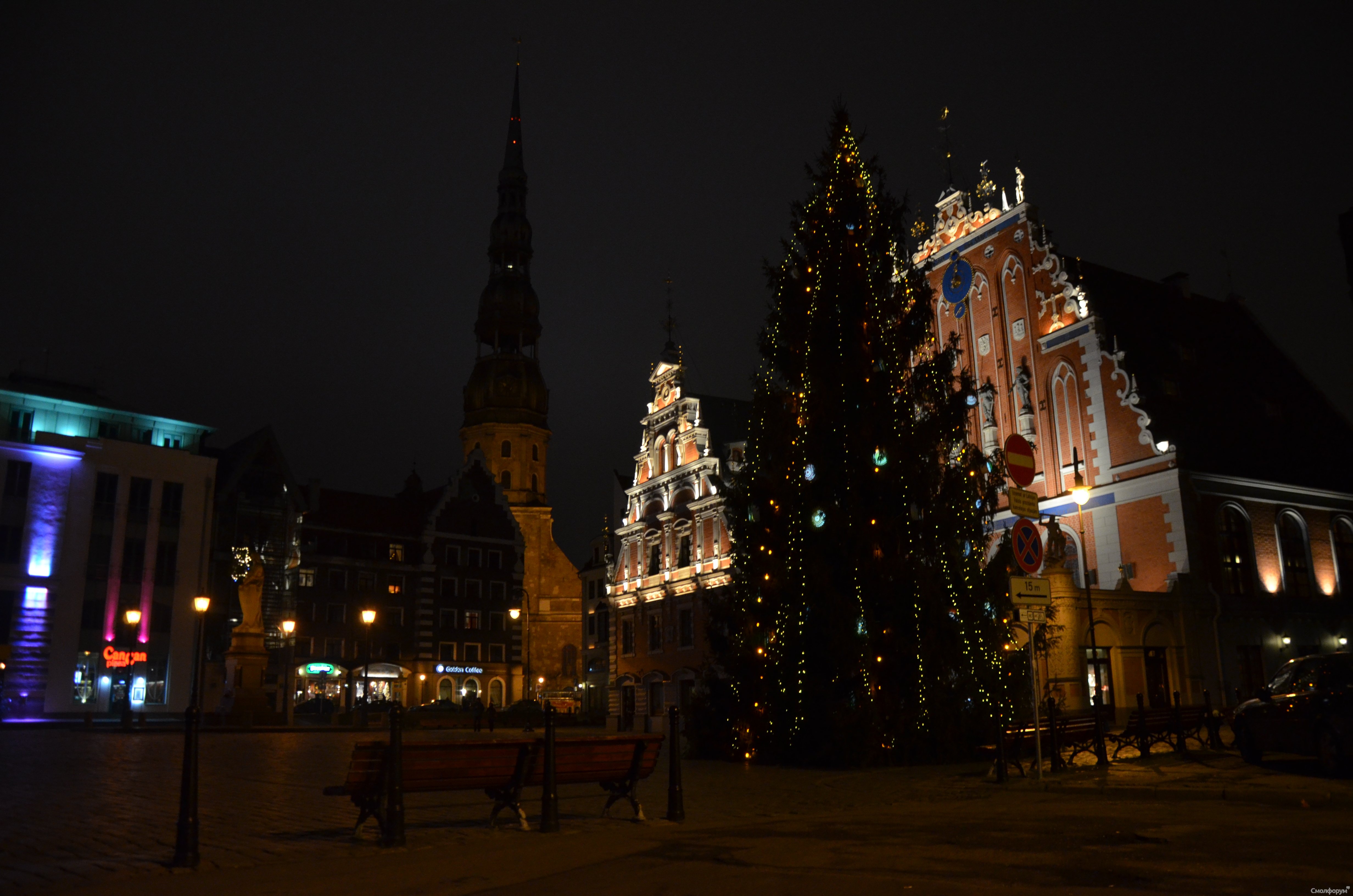 DSC_0980.JPG