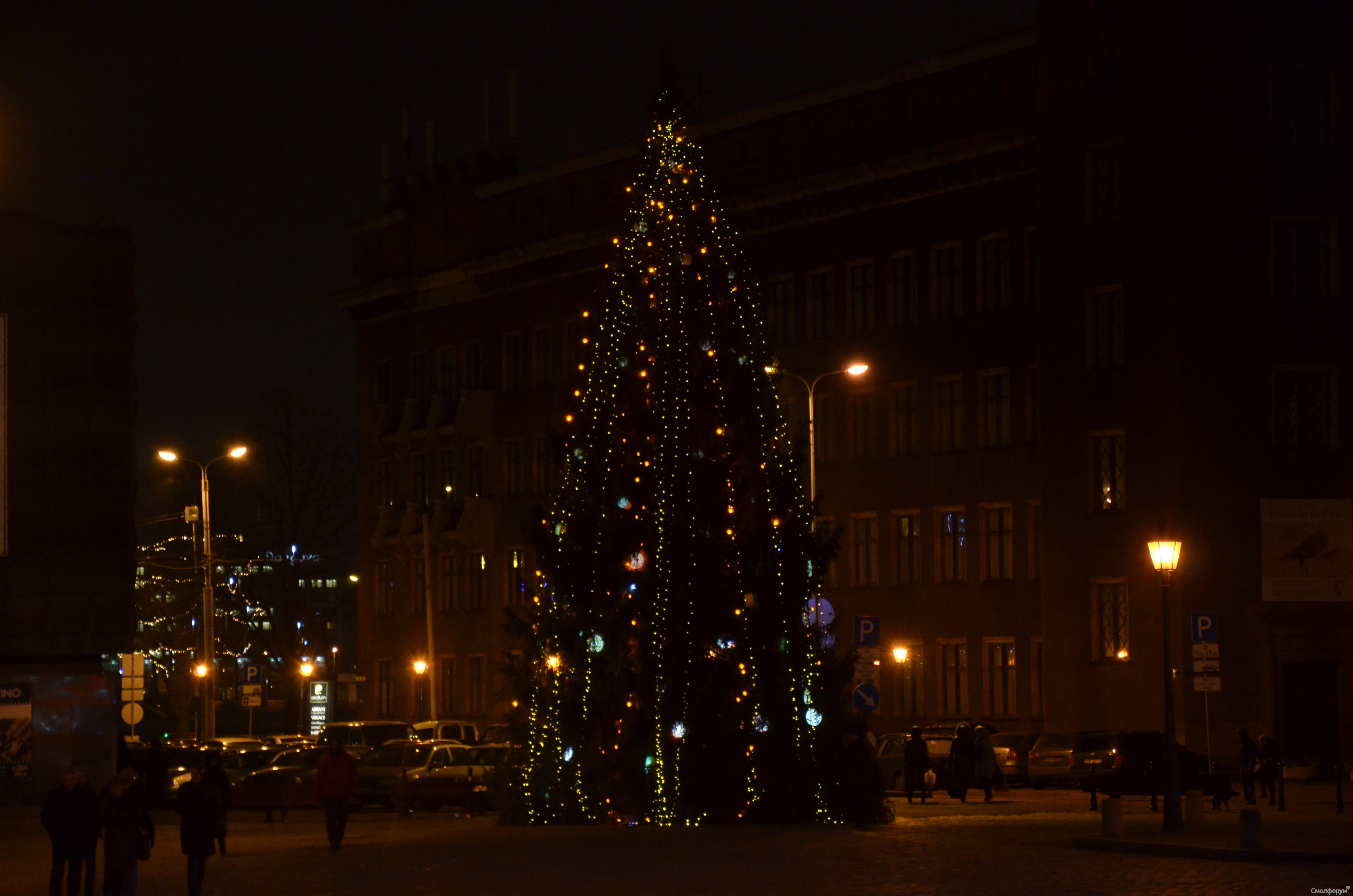 DSC_1002.JPG