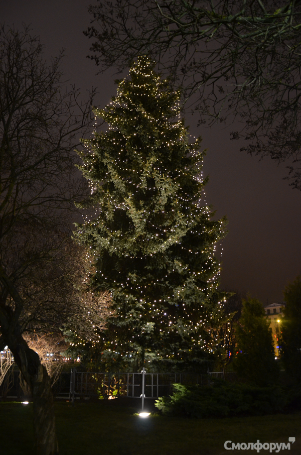 DSC_1099.png