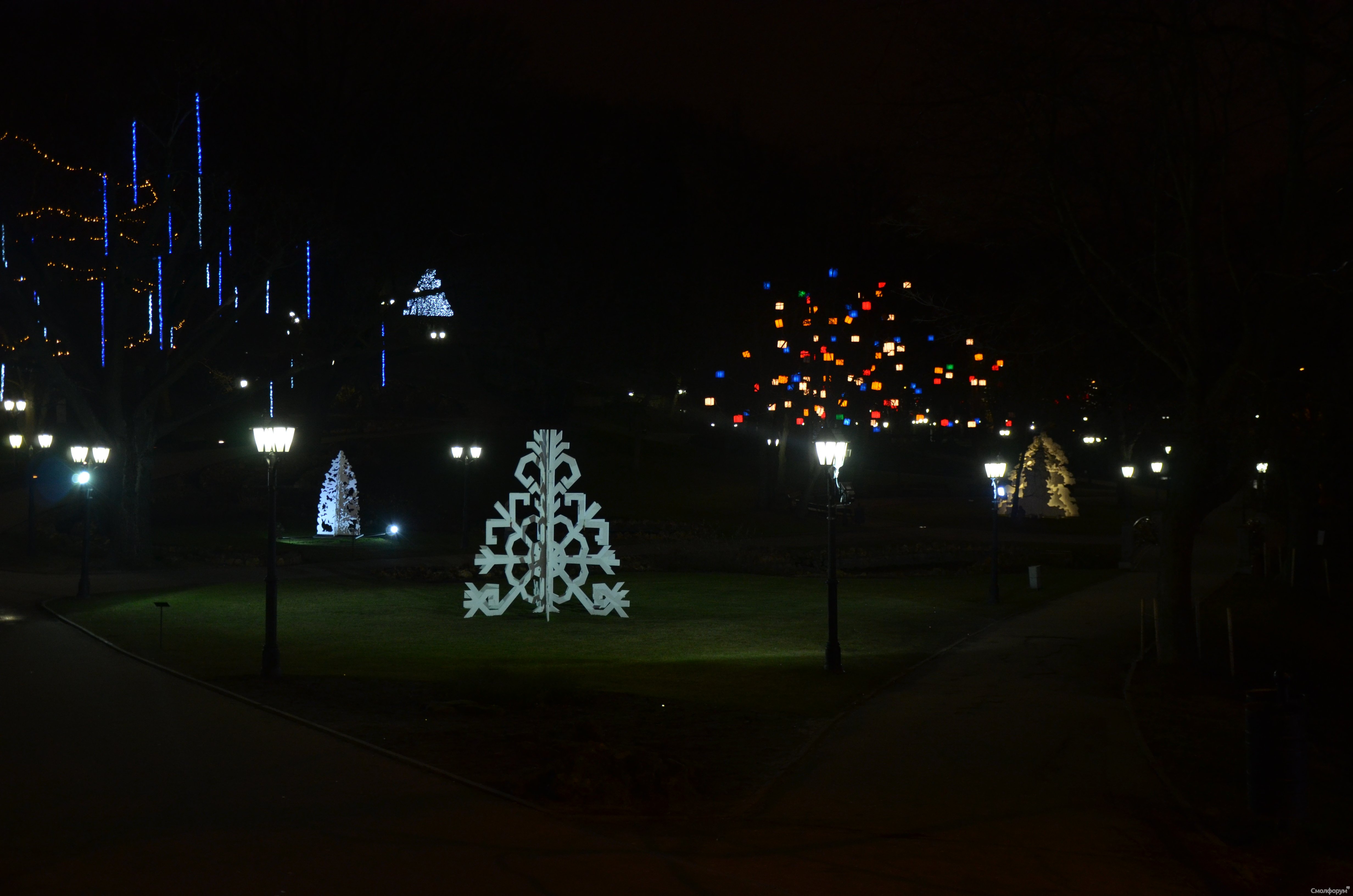 DSC_1109.JPG