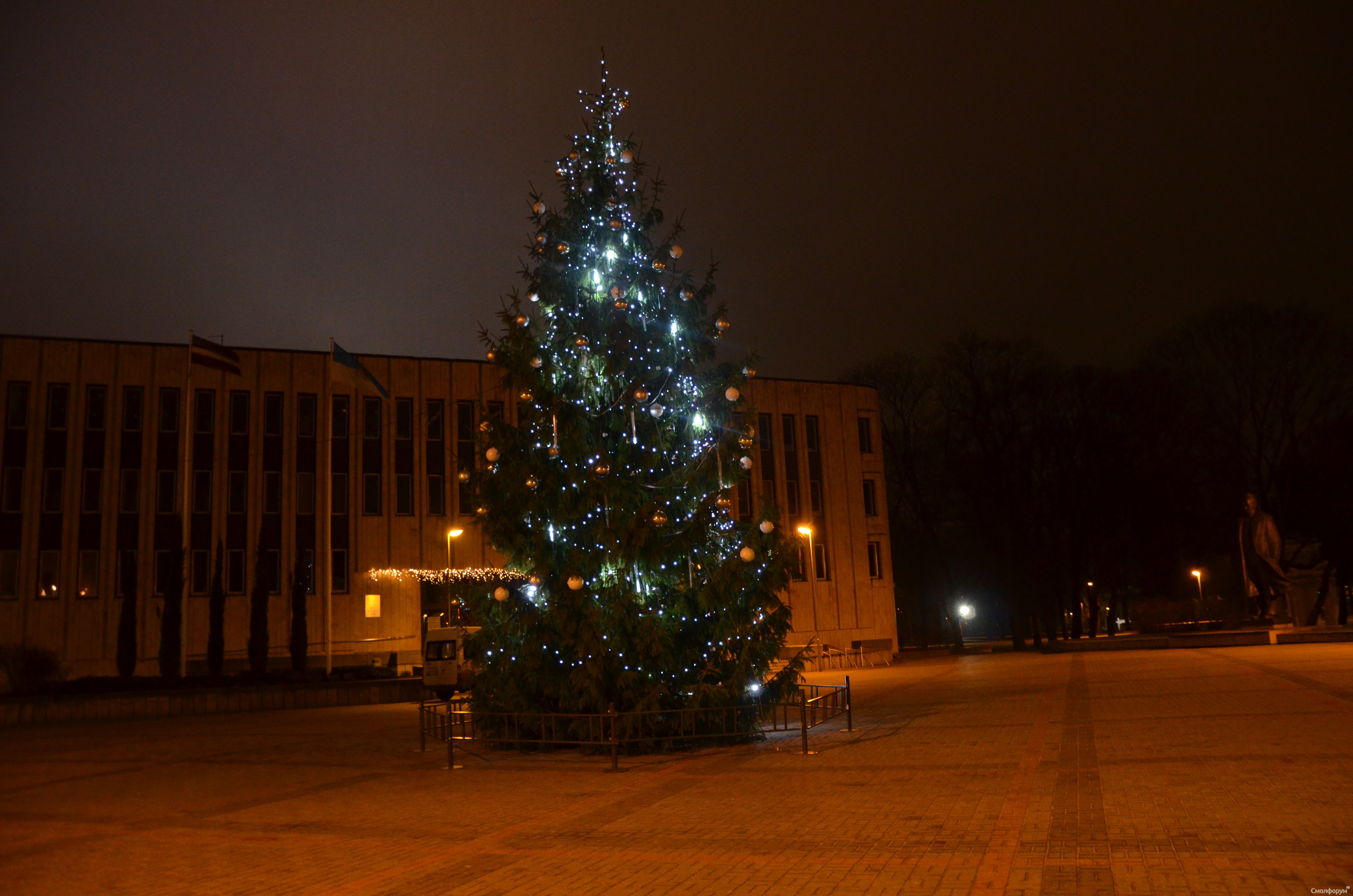 DSC_1157.JPG