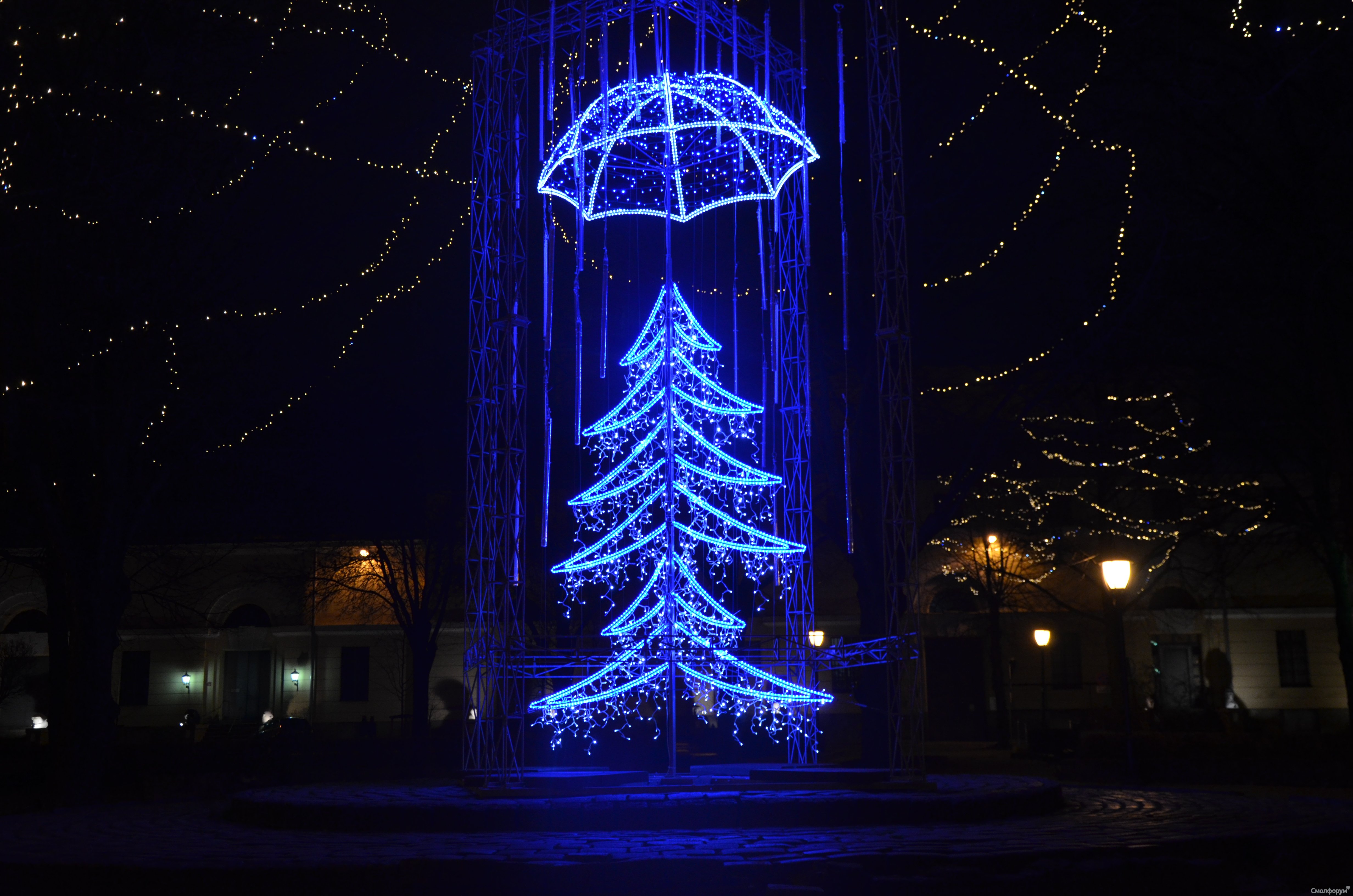 DSC_1168.JPG