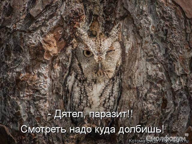 uploadfromtaptalk1370113777516.jpg
