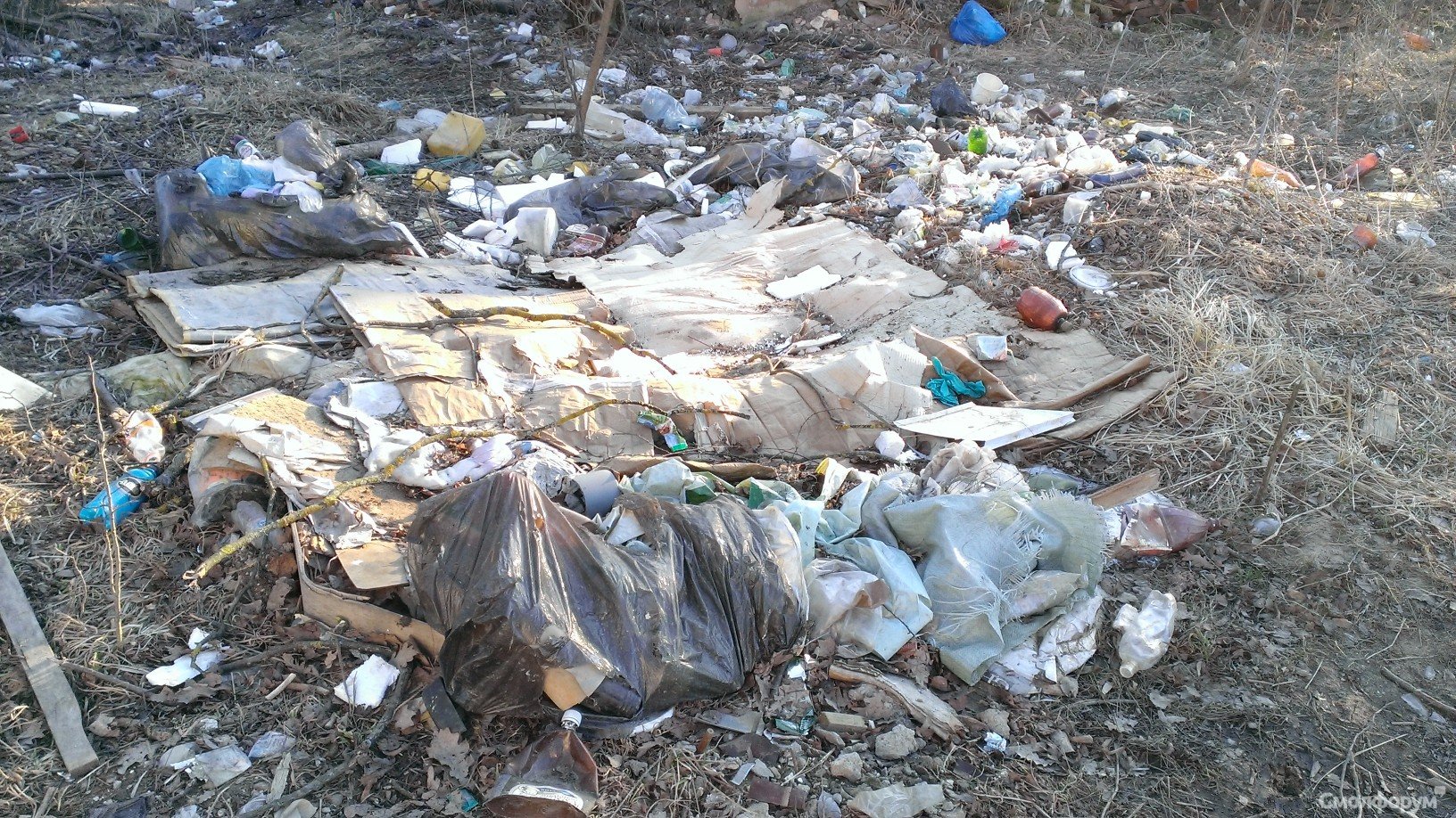 WP_20140314_006.jpg