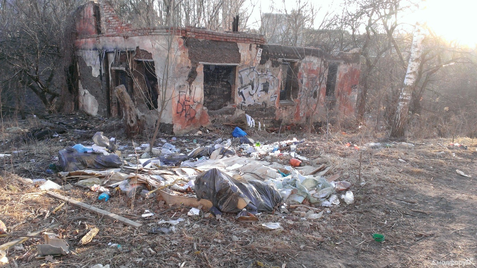 WP_20140314_007.jpg