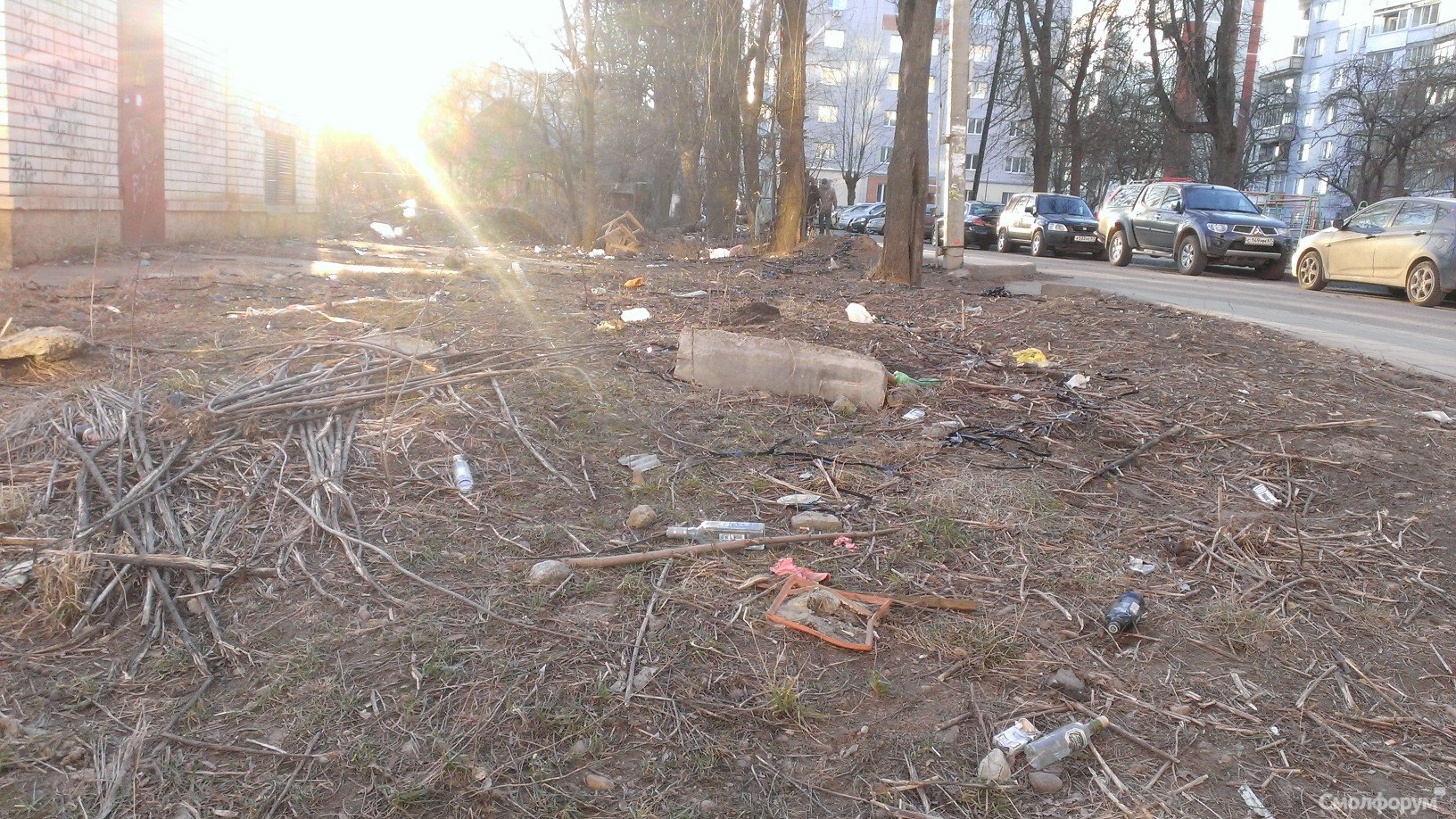 WP_20140314_011.jpg