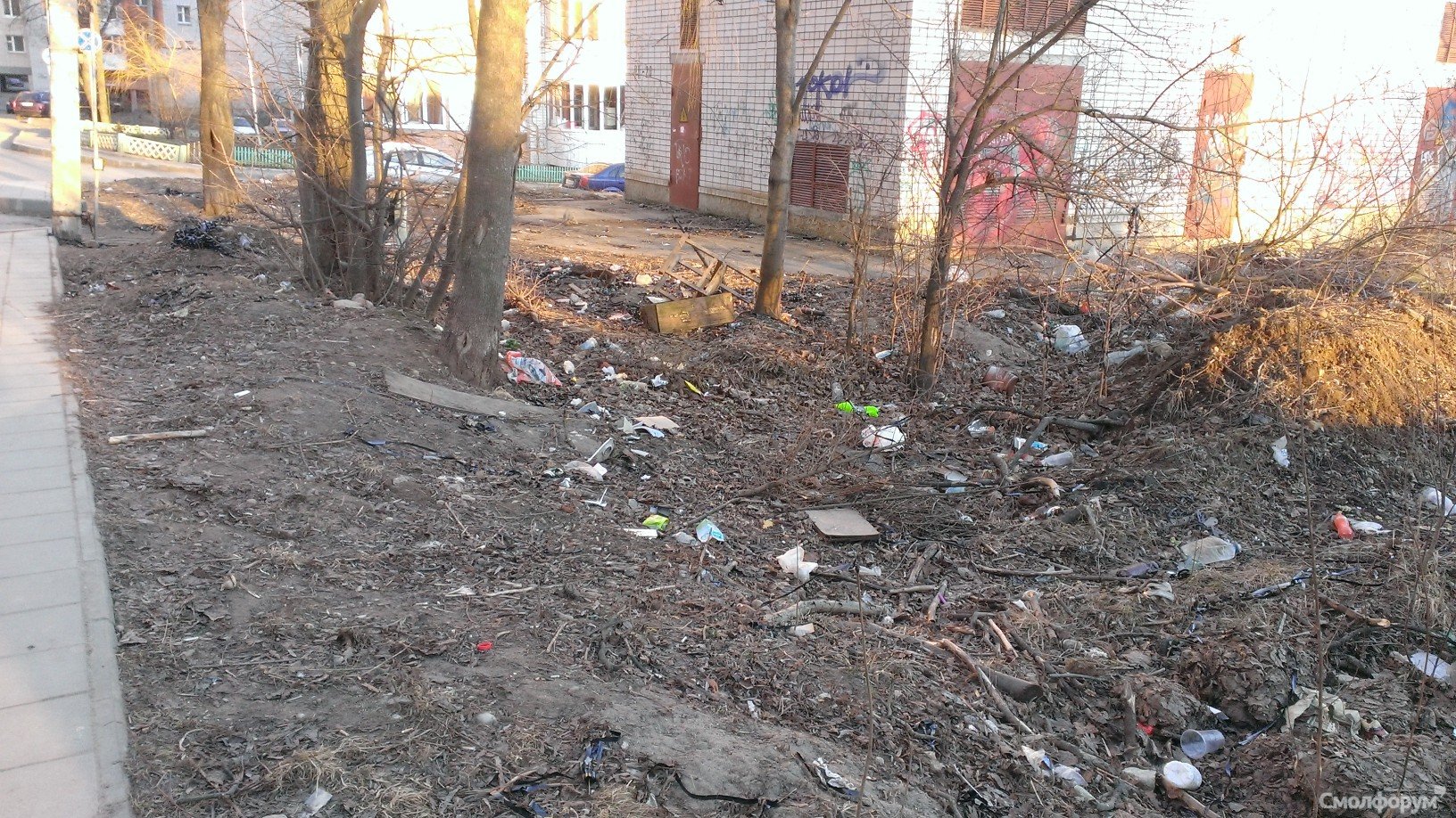 WP_20140314_015.jpg