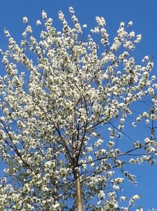 20130509_193622_6.jpg