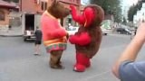 Медведь и слон